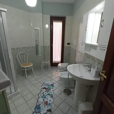 I Fiori Di Amina Le Begonie * Pietramelara