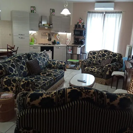 I Fiori Di Amina Le Begonie Pietramelara